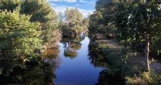 lac nord biscarrosse