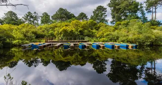 barque lac biscarrosse (2)
