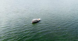 DRONE BISCA PAPILLON VWEB-6